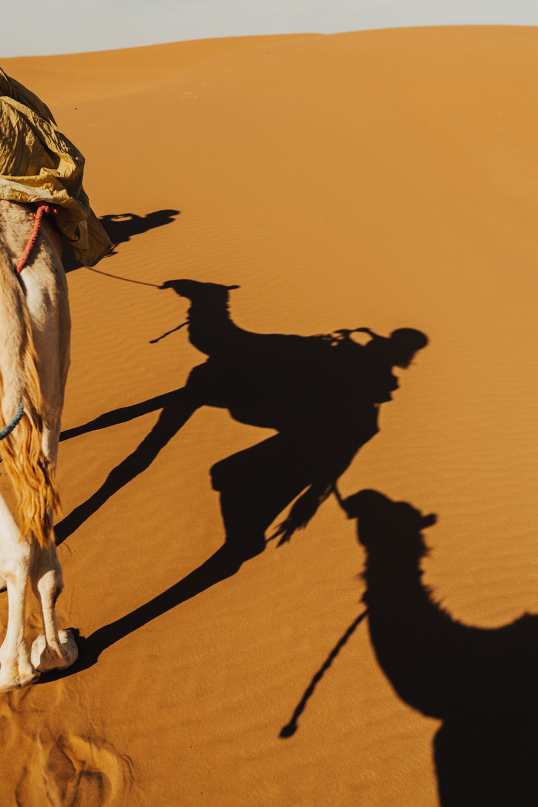 Sahara desert luxury camp site camel ride