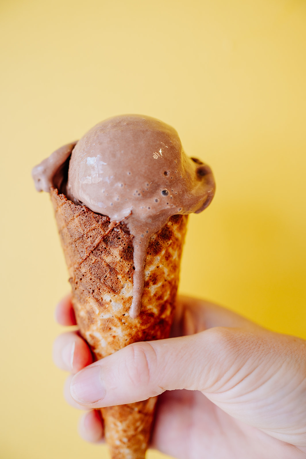 Chocolate Ice cream in a cone melting. With a yellow background 