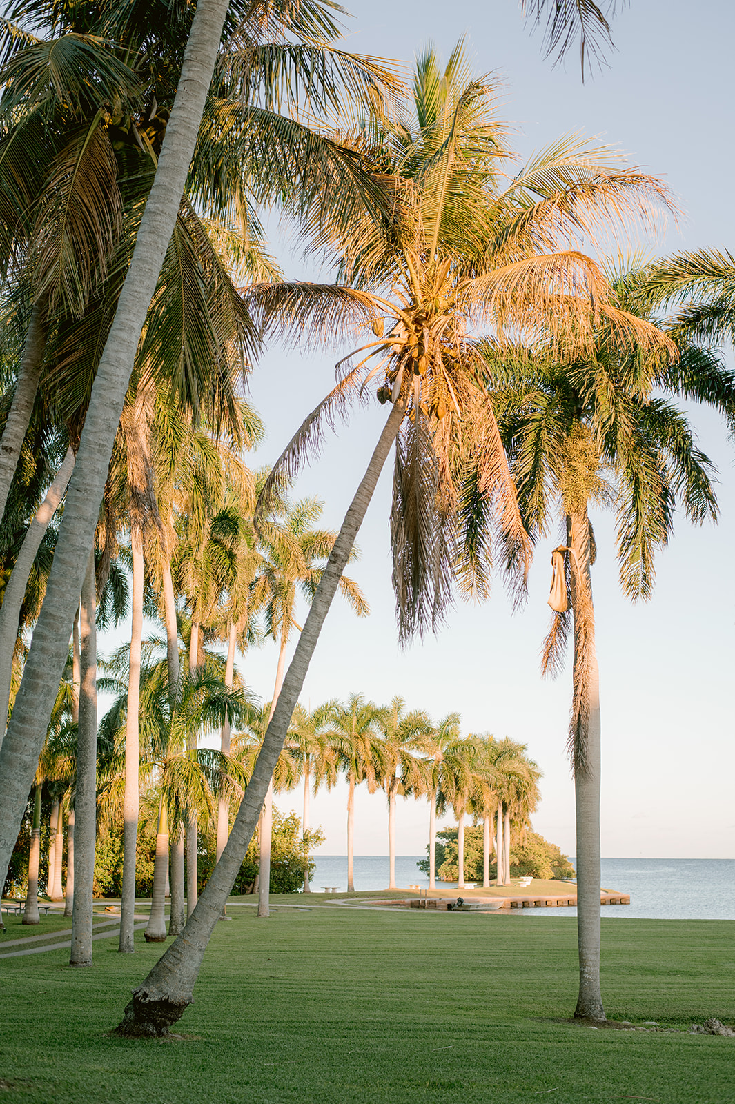Deering Estate Wedding Photography that will leave you breathless
