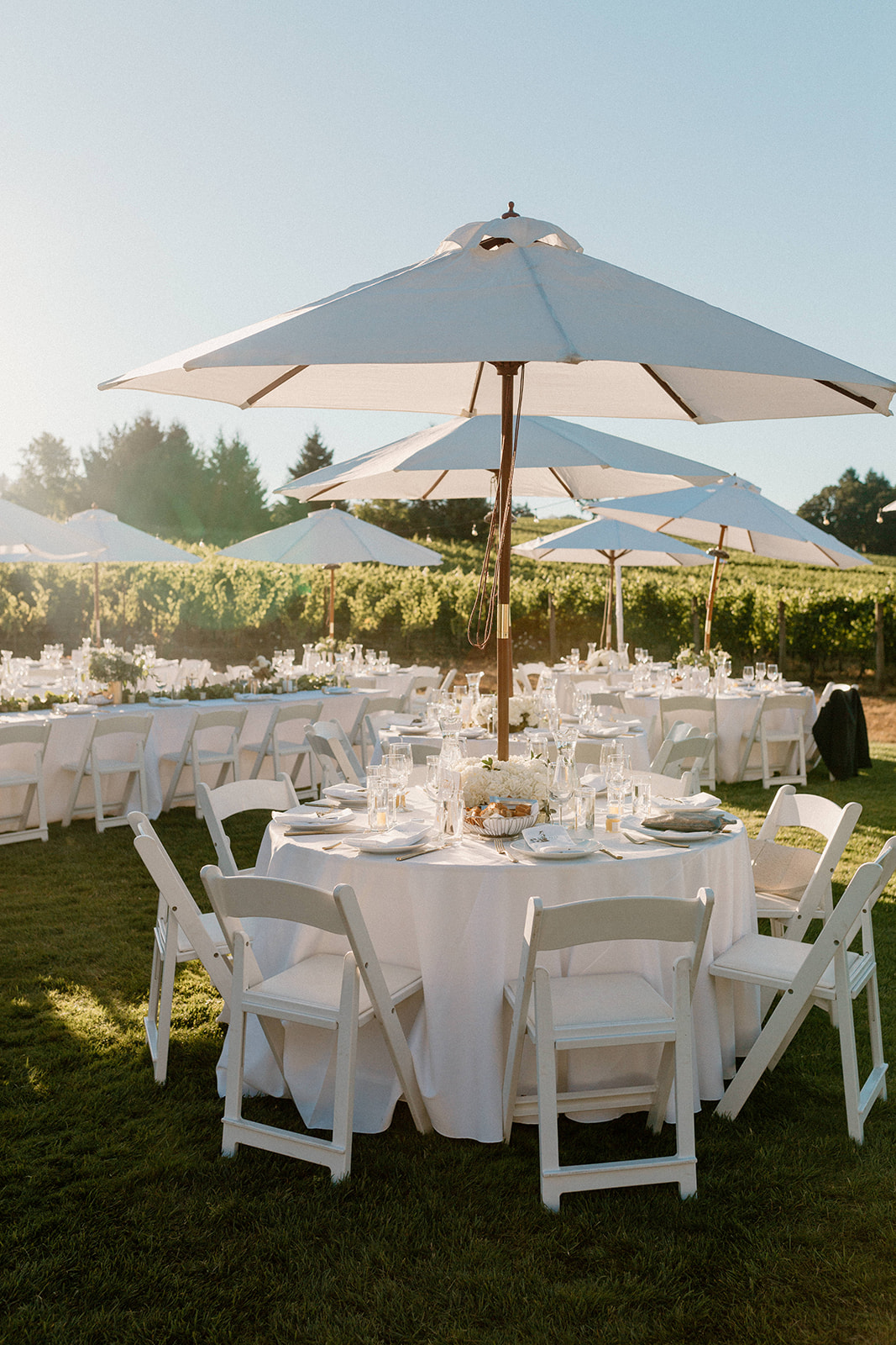 A wedding reception table set up at Sokol Blosser Winery. 