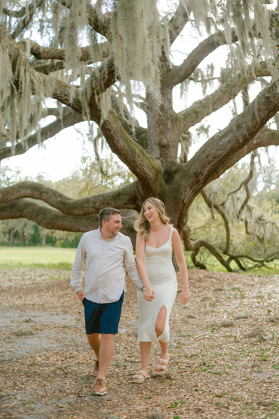 "Romantic engagement photo in Philippe Park, Tampa Florida"
