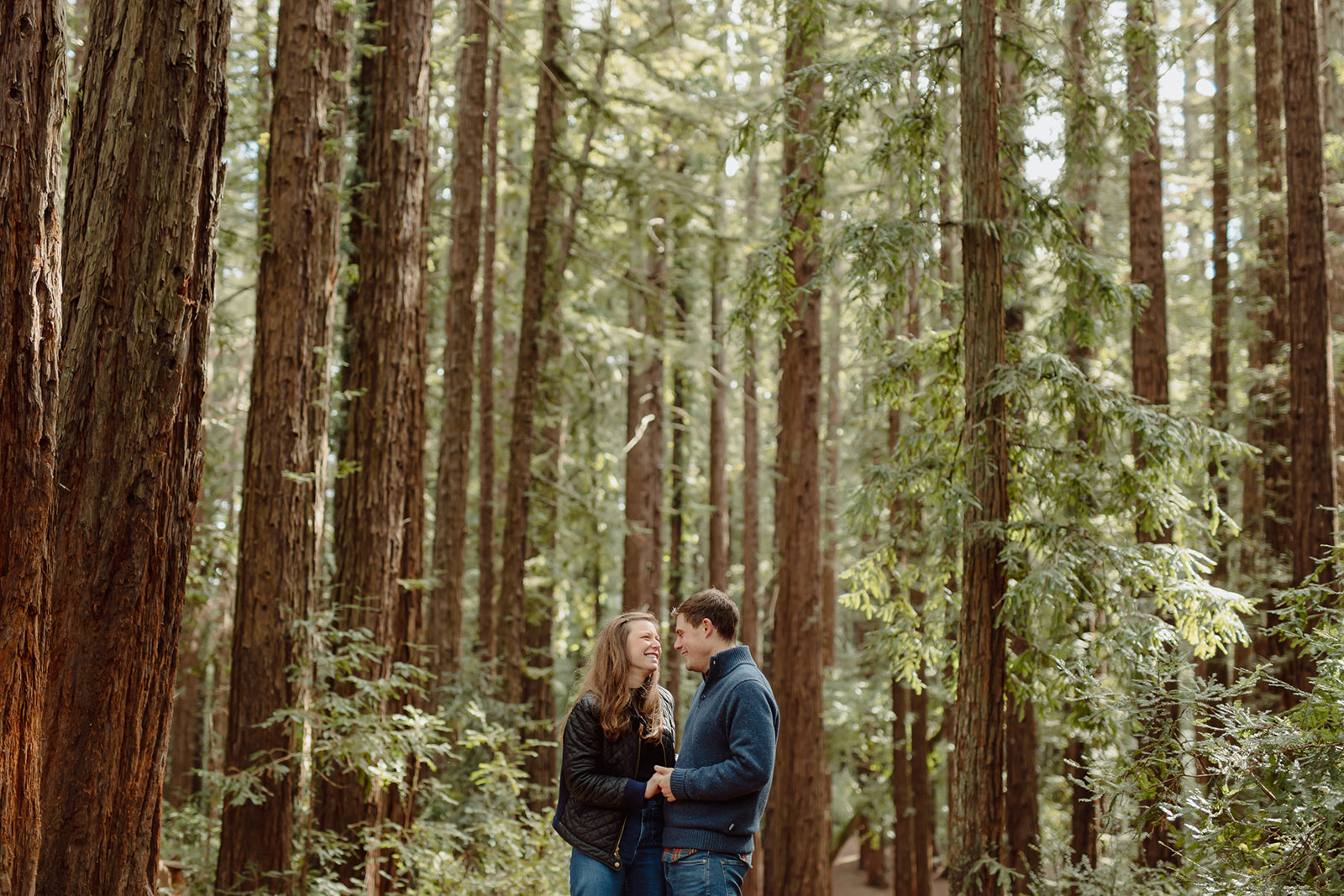 oakland california redwoods engagement session photographer