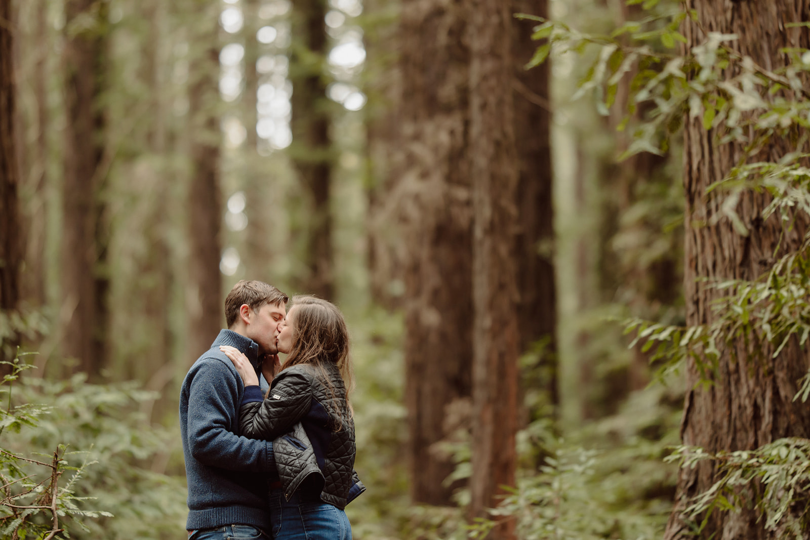 oakland california redwoods engagement session photographer