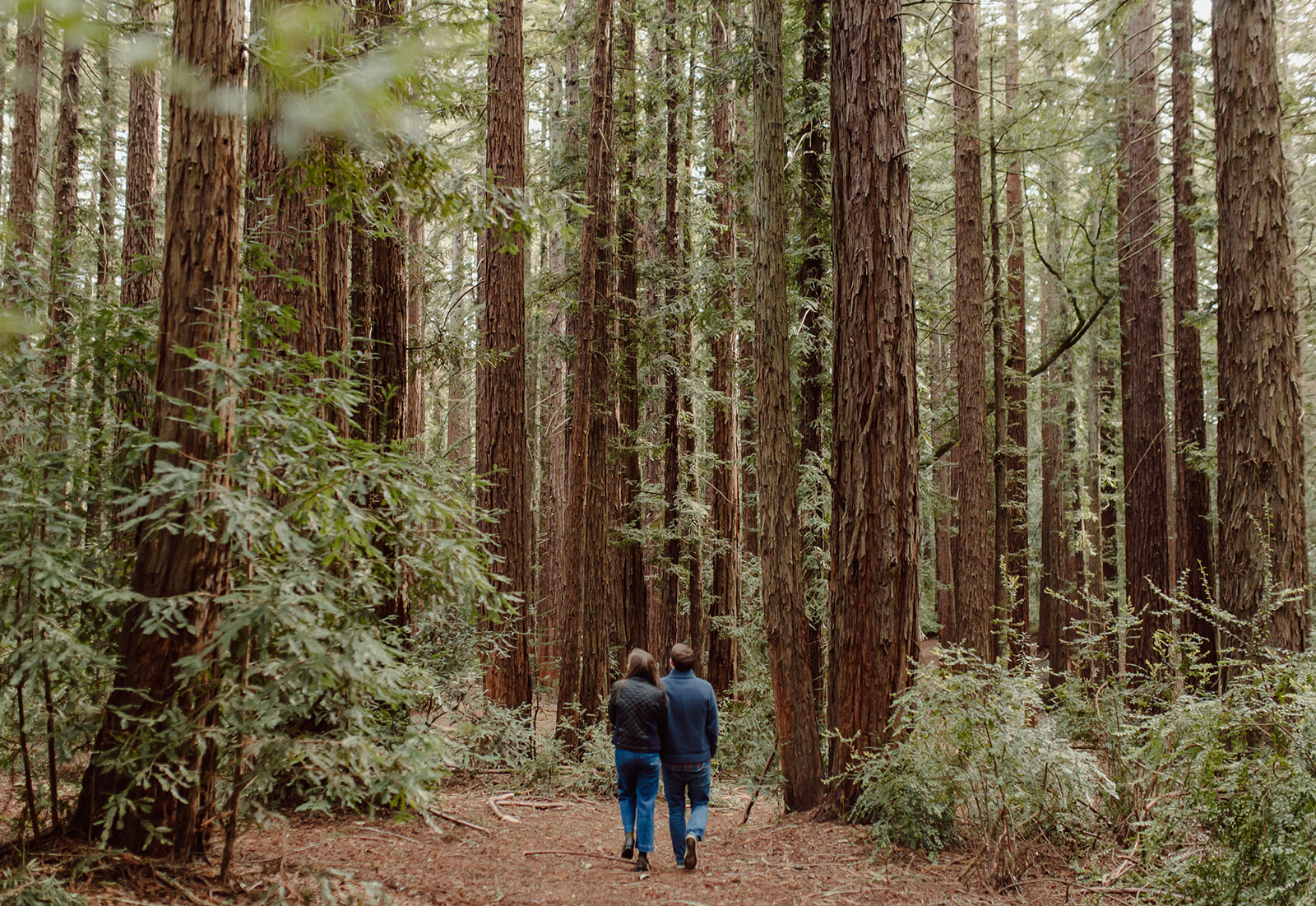 candid oakland california redwoods engagement session photographer