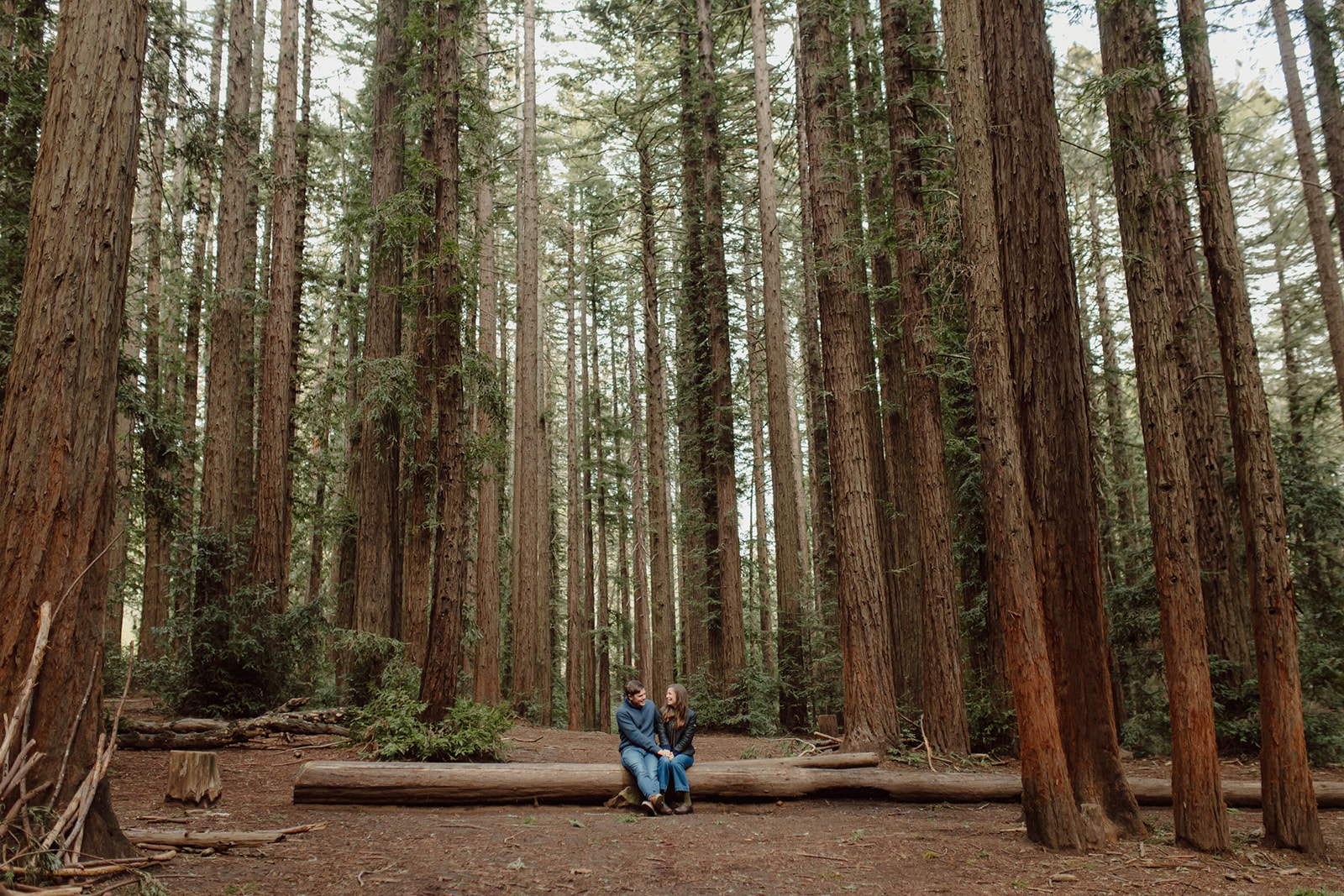 candid bay area redwoods engagement session photographer
