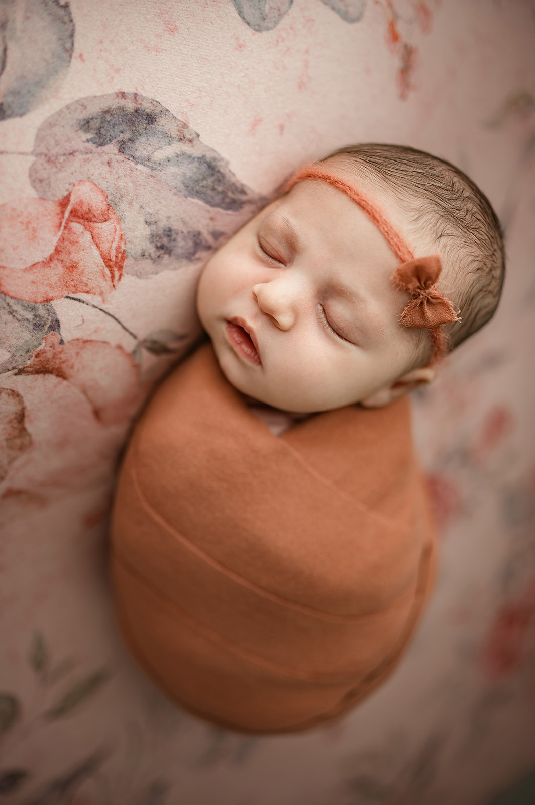 Kentucky Baby Photographer