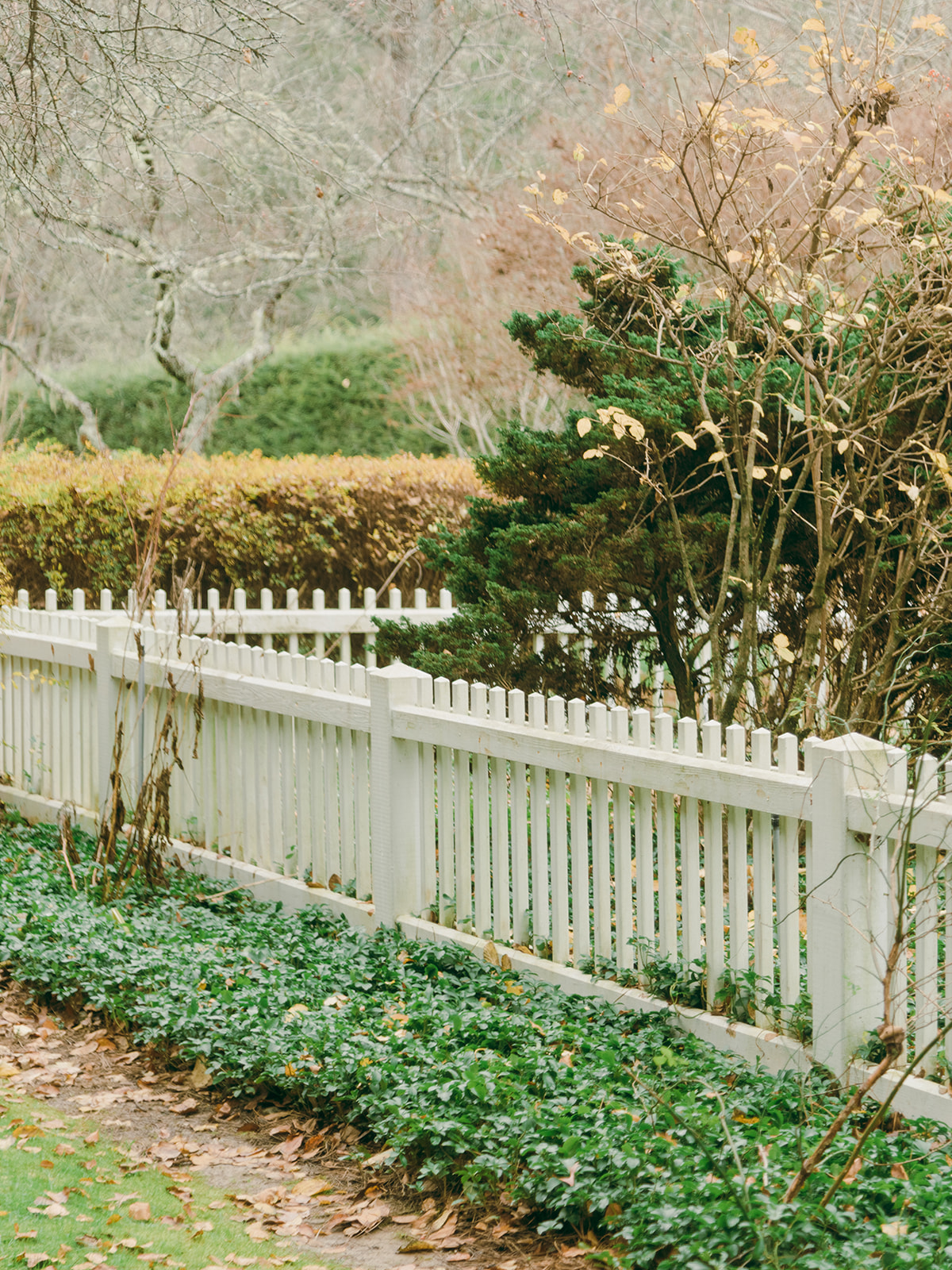 Lush gardens surround the Orchard House at Half Mile Farm by Old Edwards Inn in Highlands, NC wedding venue tour