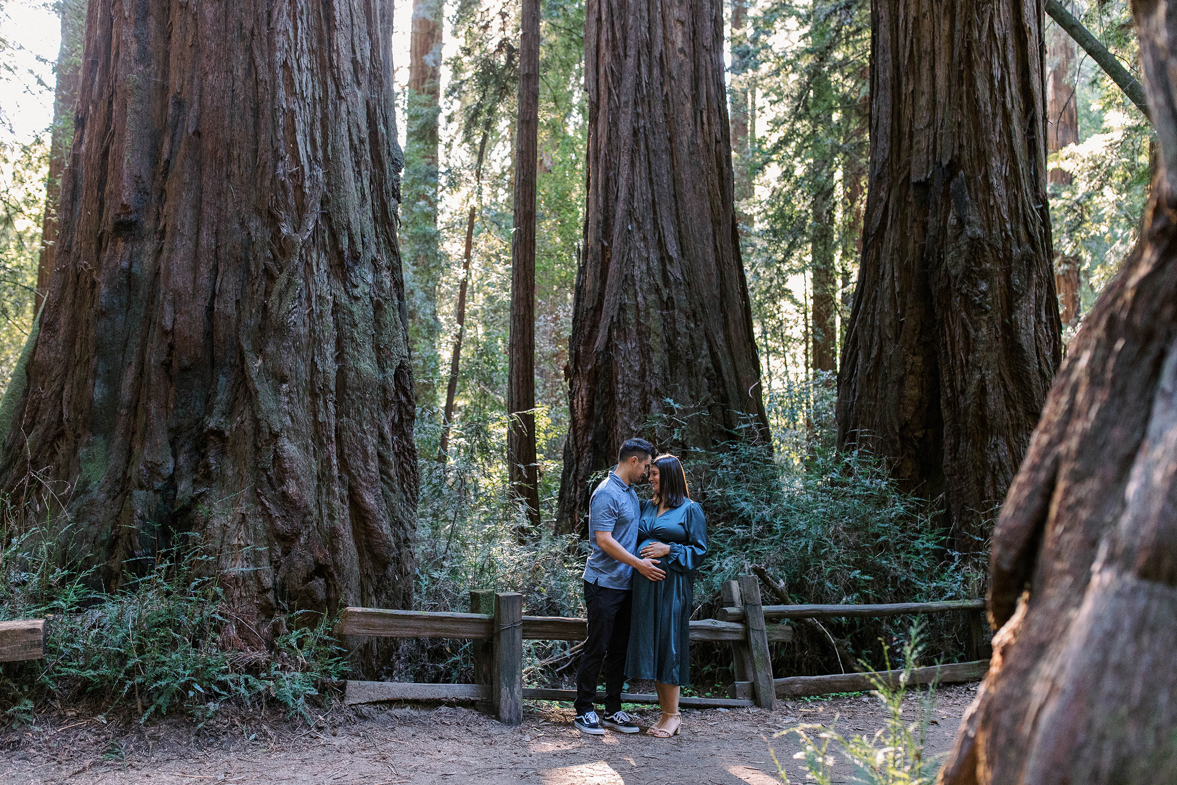 pregnant couple in Santa Cruz redwoods