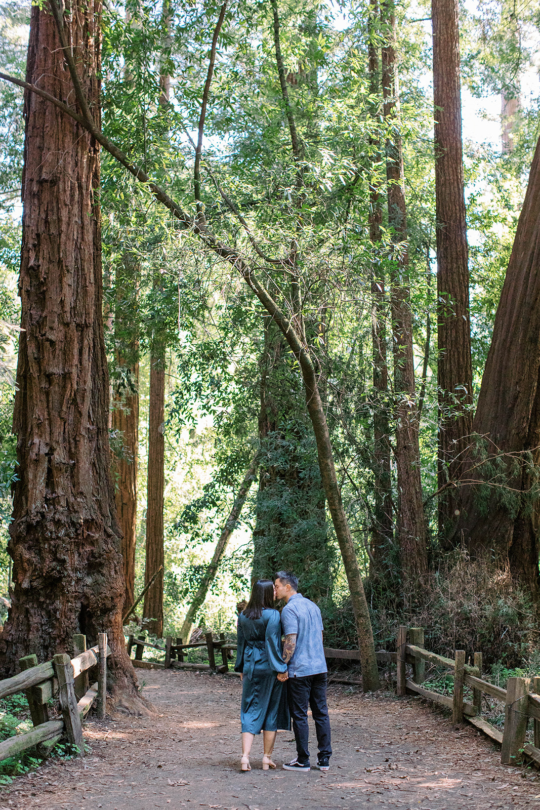 Henry Cowell redwoods with pregnant couple