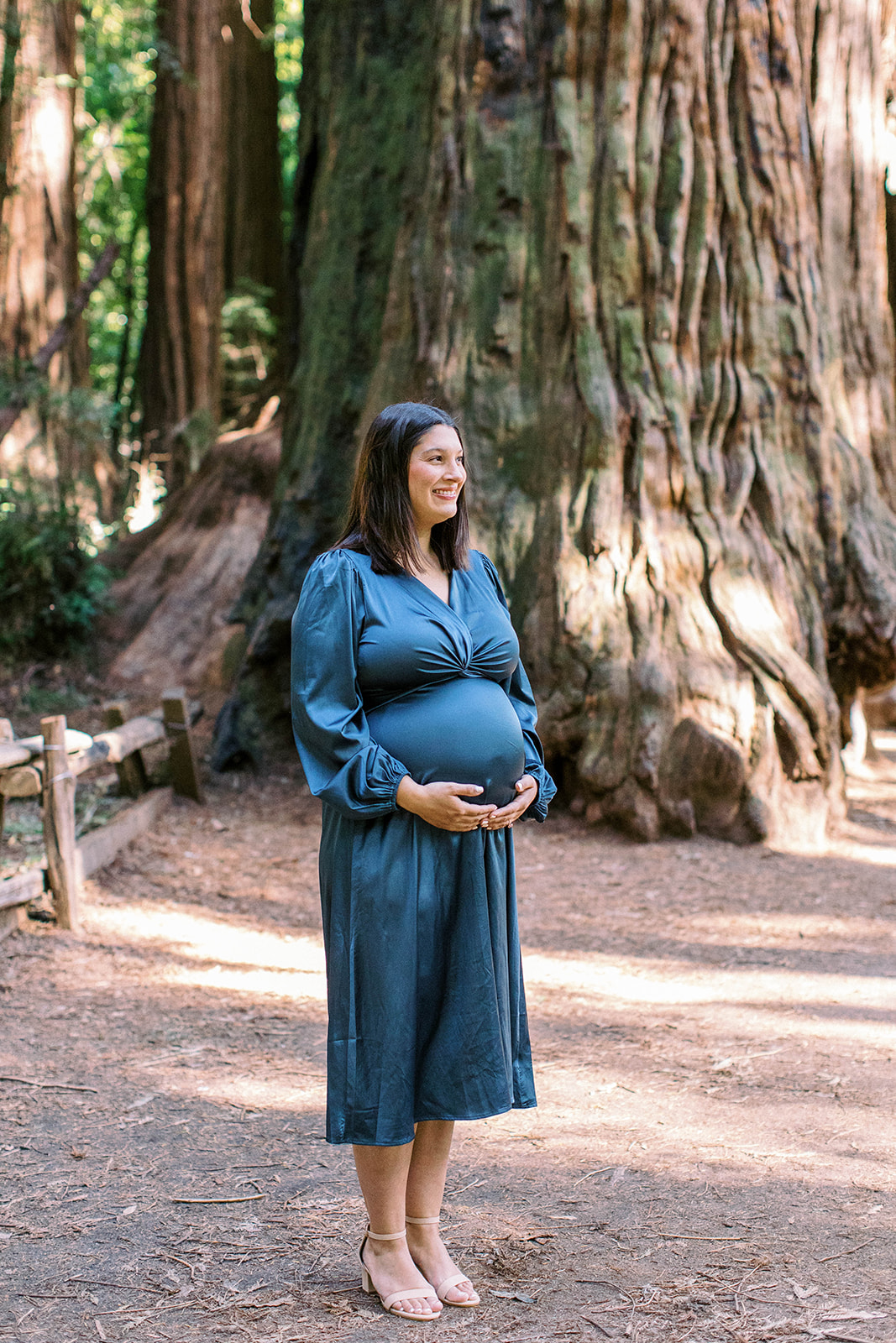 maternity session in Santa Cruz redwoods