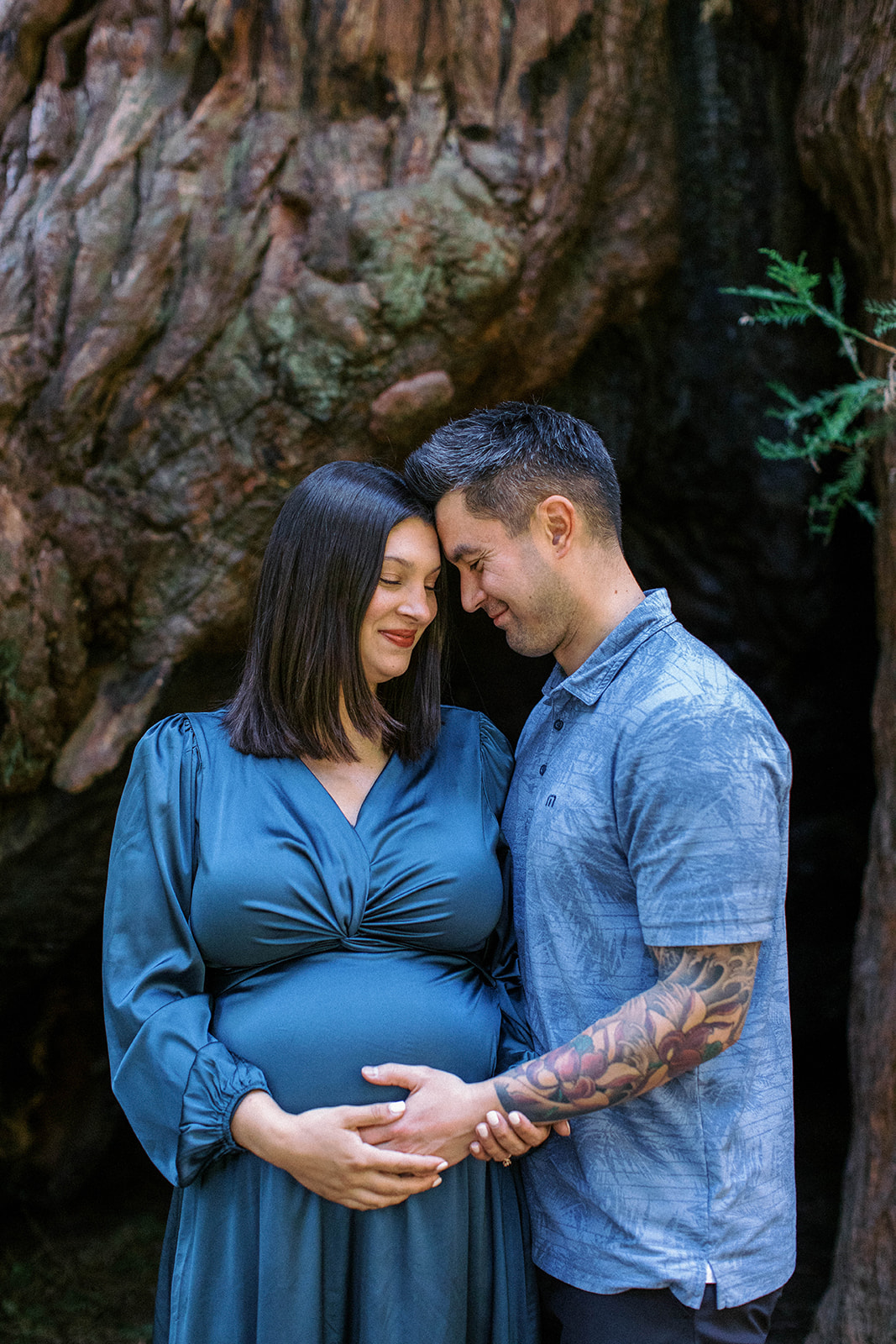 maternity session in front of redwood