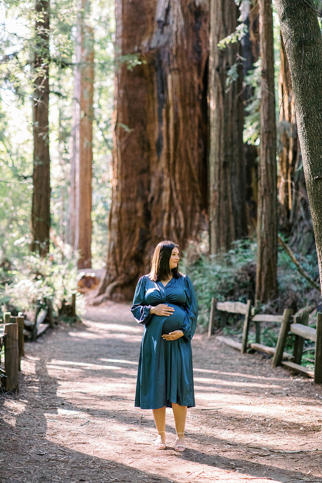 redwood maternity session in Santa Cruz Henry Cowell state park