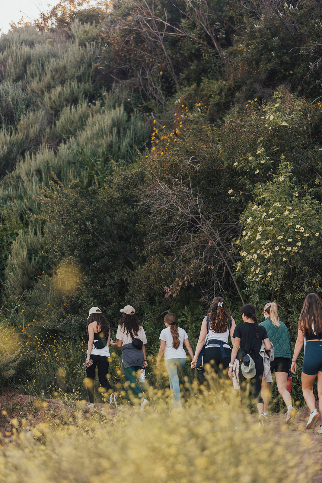 Earth Day celebration hosted by ReLauren, Lauren Bash. Sunset Community Hike in Los Angeles, CA. by Hallie Kathryn Photo