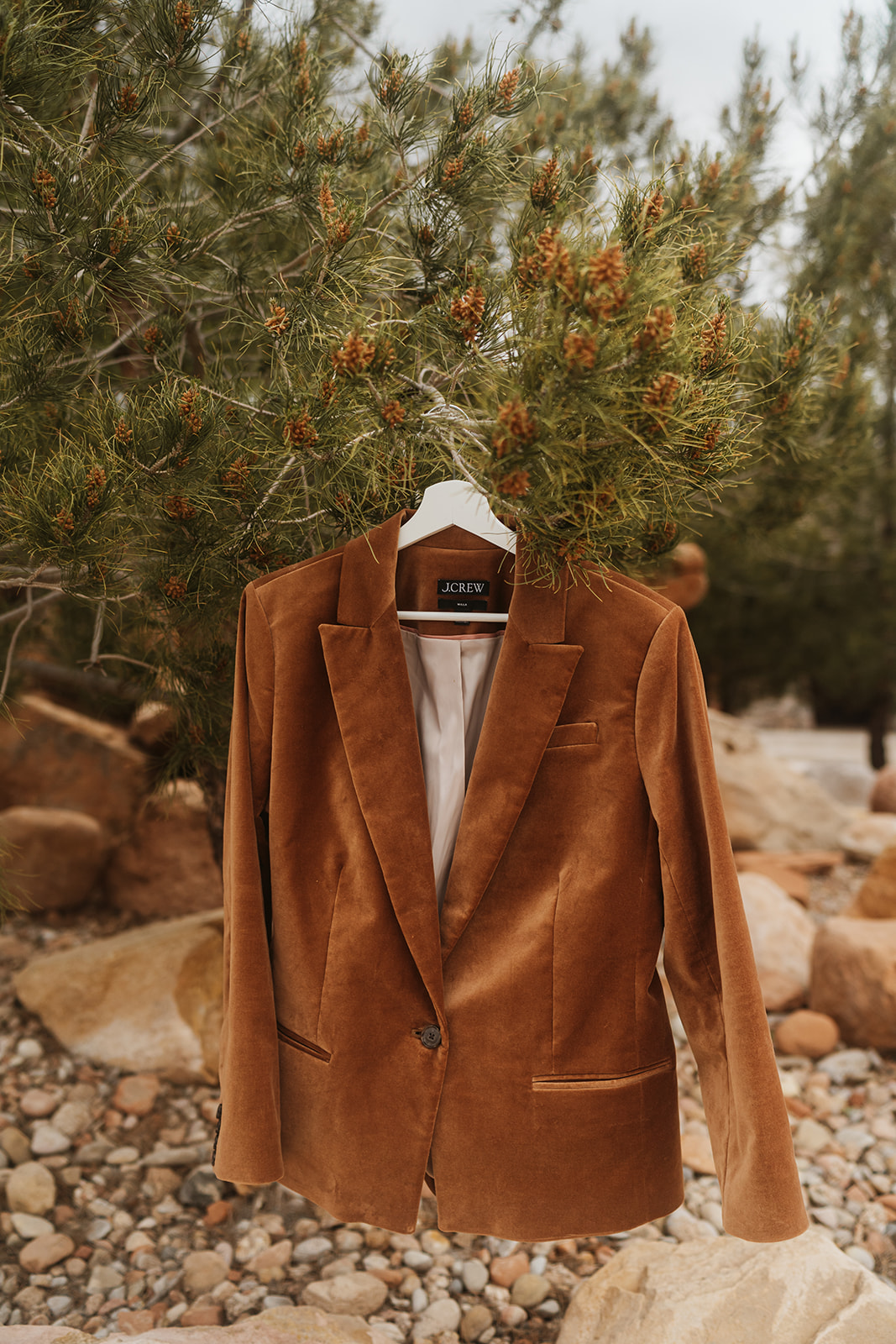 A brown Velvet jacket from J Crew hanging on a hanger on the branch of a tree 