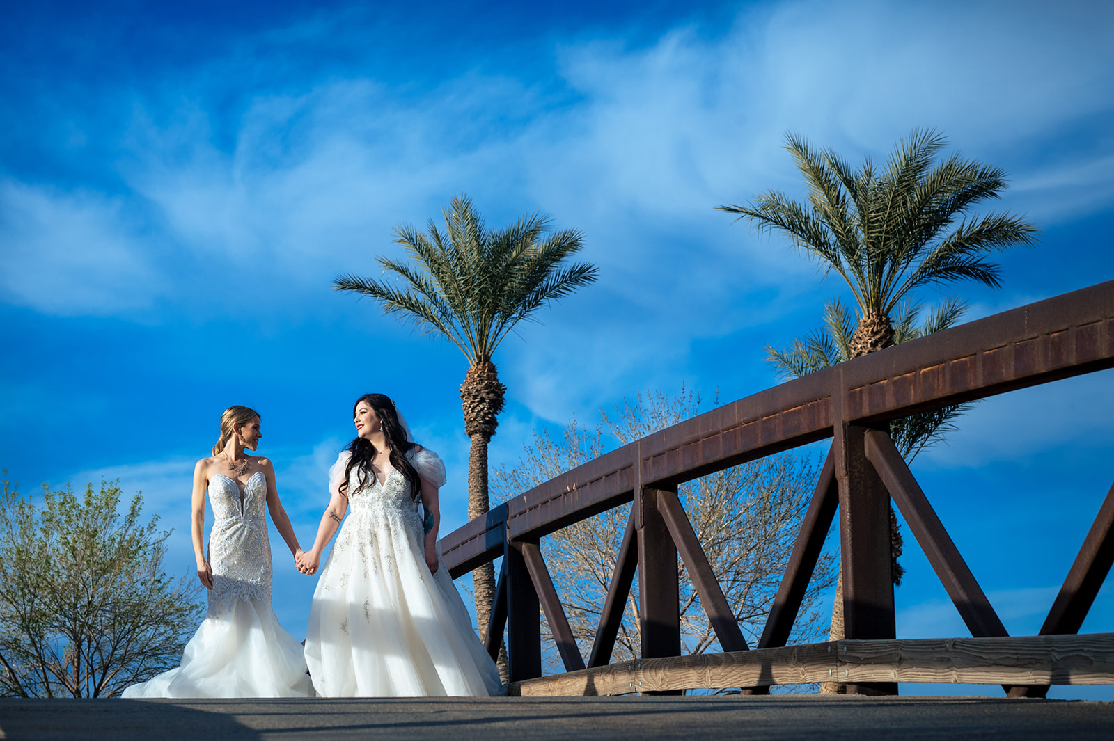 Two brides holding hands in a desert photo in Las Vegas