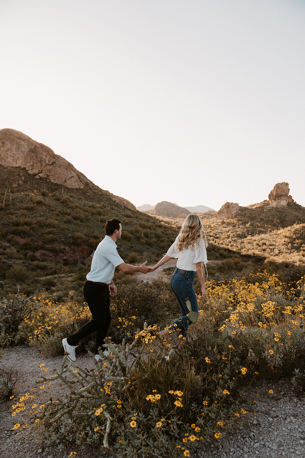 Arizona Engagement photos in the Superstition Mountains in the wildflower bloom. 
