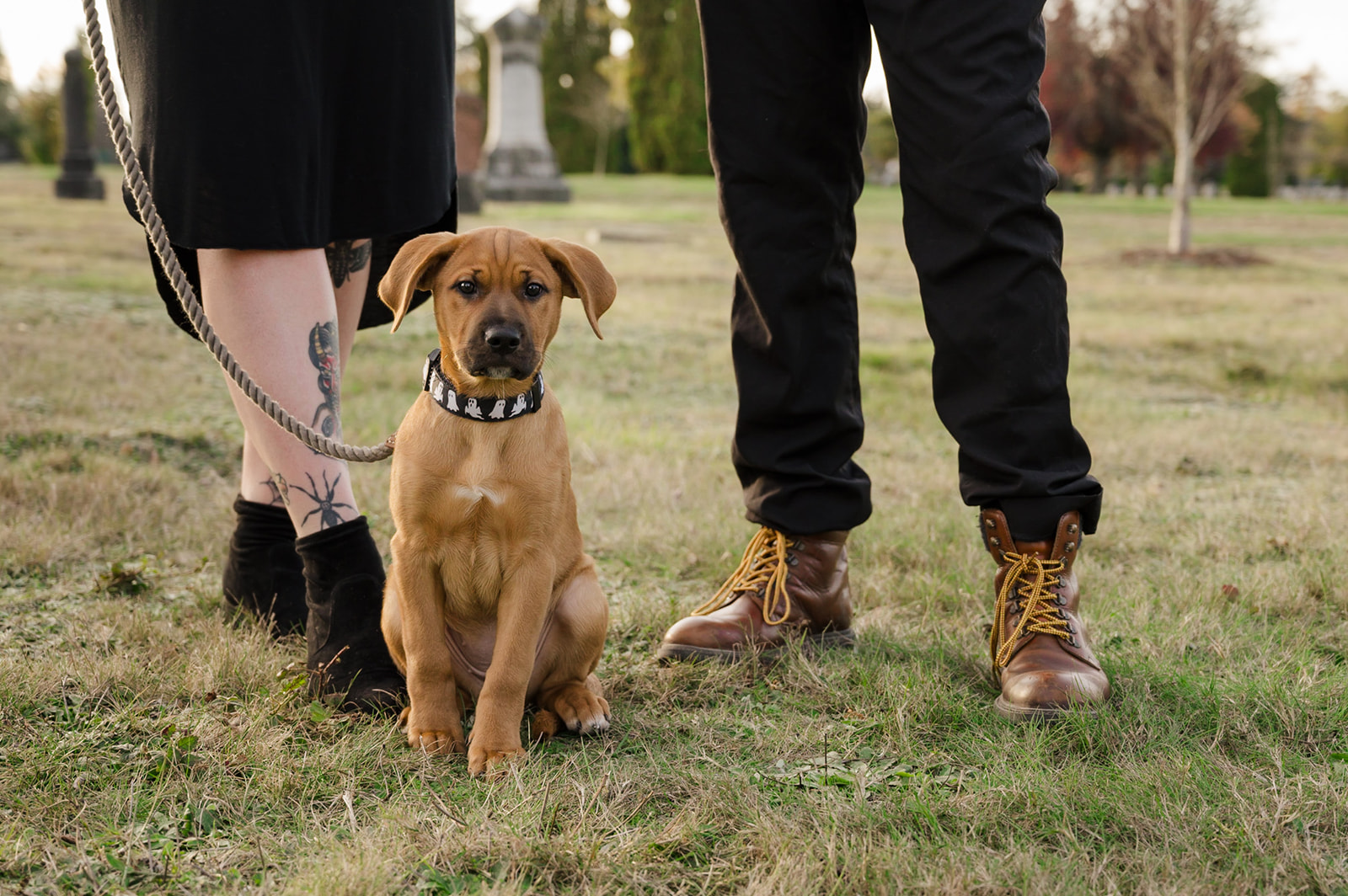 engagement photos with puppy